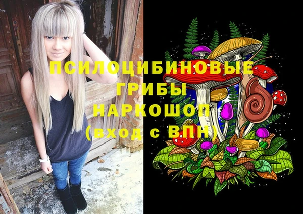 бошки Вяземский