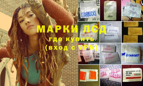 гидропоника Вязьма