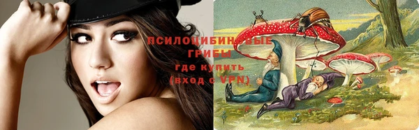 гидропоника Вязьма