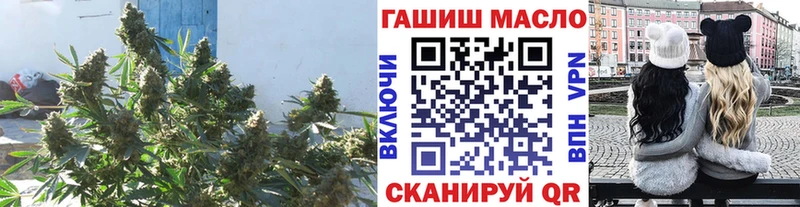 ТГК THC oil  Купить  Черкесск 