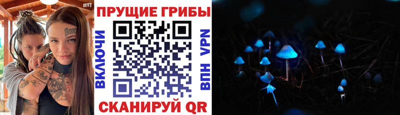 Галлюциногенные грибы Magic Shrooms  Купить  Черкесск 